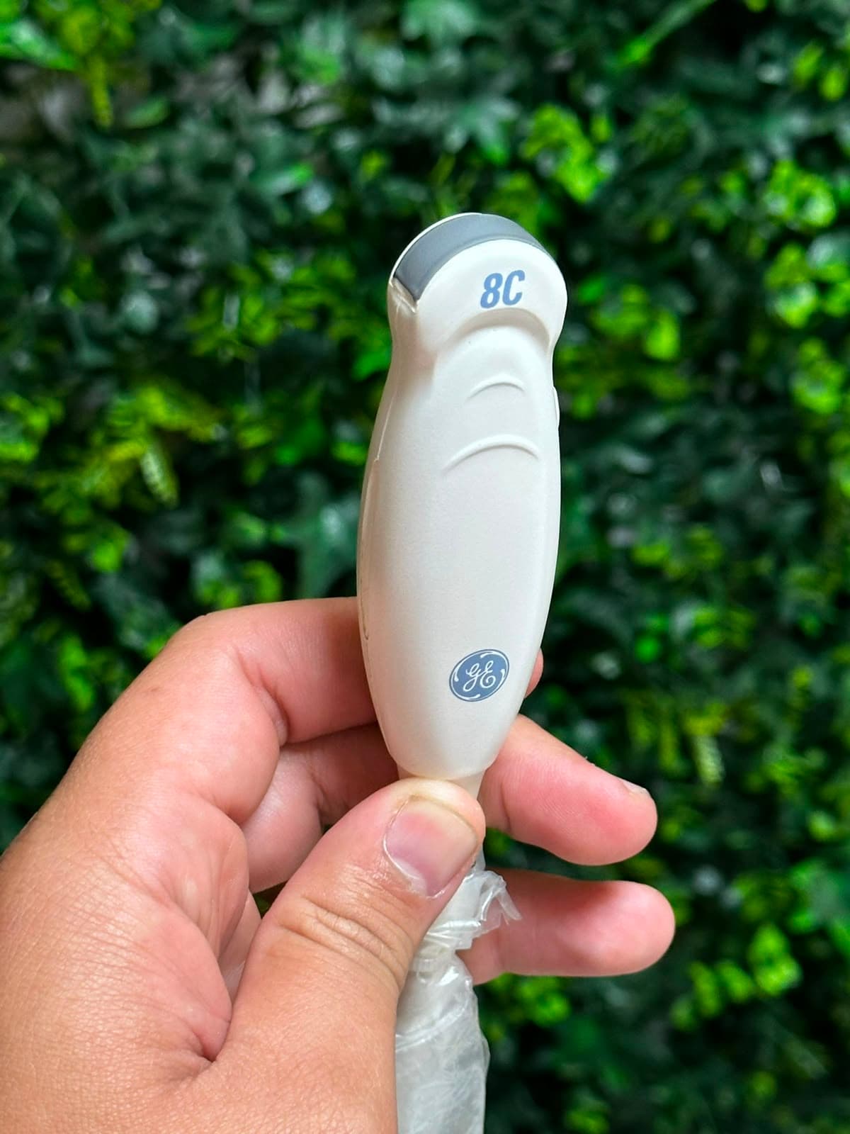 Transdutor GE 8C — Micro-convexo Pediátrico